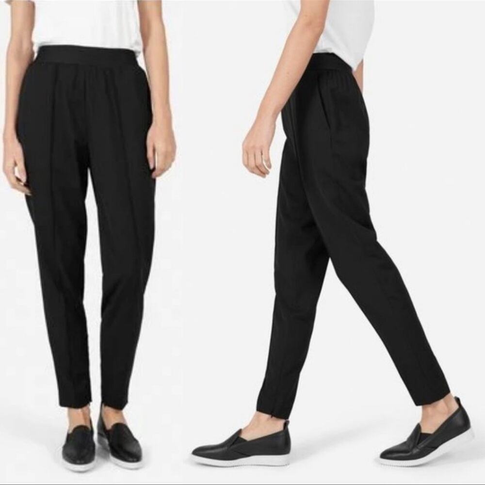 Everlane | Pants Trousers Italian GoWeave Wool Ankle zip tapered track